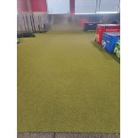 (1) Artificial Grass turf 23.75ft x 6ft