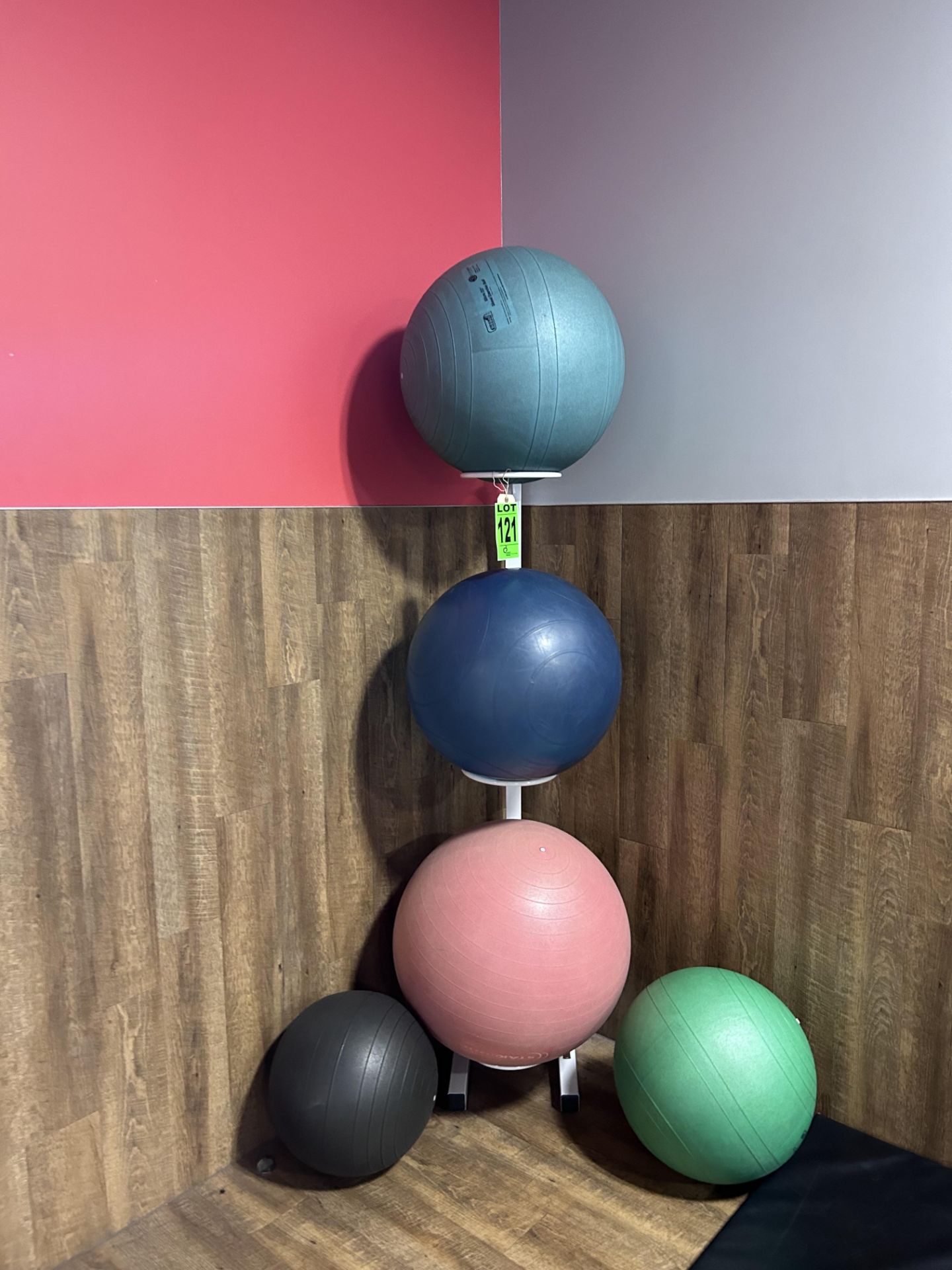 Lot of (5) Fitness Balls and Fitness Ball Storage Unit