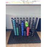 Lot of assorted weights with weight stand (1lbs-6lbs)