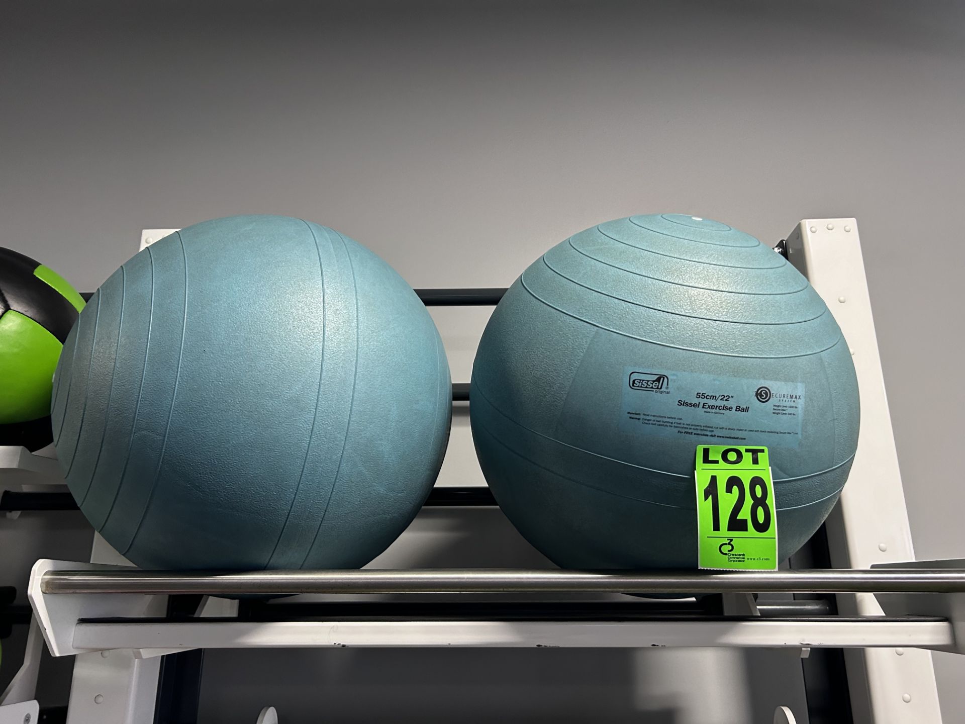 Lot of (2) SISSELL Exercise Balls, 22"