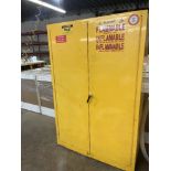 Metal Cabinet, 2 Doors, 43"w x 66"h x 18"d, Flammable Storage Cabinet