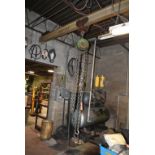 TWO TON CHAIN FALL WITH LIFTING CHAINS
