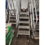 5 STEP BRIDGE LADDER 21" PLATFORM AND 97" BASE