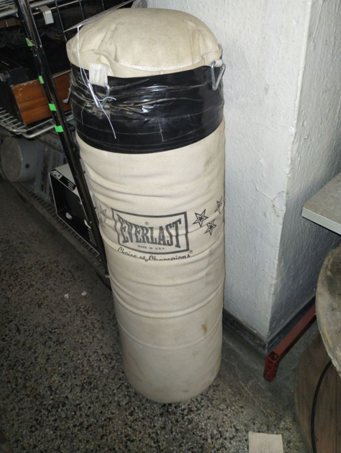 EVERLAST PUMCHING BAG