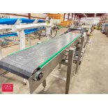 S/S Frame Product Conveyor: 84" Length x 14" Width with Drive - Rigging Fee: $100