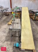 Assorted Belt Conveyors and Product Conveyors - Rigging Fee: $100