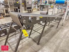 Sections: Arrow Head Product Conveyor: 106" Length x 19" Width with Drive - Rigging Fee: $200