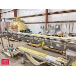 Arrowhead Product Conveyor Section: 172" x 12" with Belt Conveyor - Rigging Fee: $100