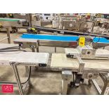 ANKO and Other S/S Frame Power Belt Conveyors: up to 80" Length x 18" Width - Rigging Fee: $200