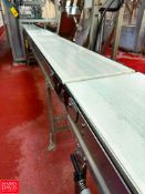 S/S Portable Framed Belt Conveyor with Drive: 19’ x 18" and S/S Drip Shield - Rigging Fee: $500