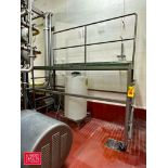 S/S Framed Platform with Ladders and Handrail: 93" x 32" - Rigging Fee: $350
