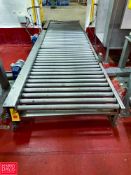 S/S Roller Conveyor: 15’ x 44” with Drive - Rigging Fee: $300