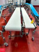 S/S Framed Incline Portable Belt Conveyors: 12' x 1' and 14' x 17" with Drives - Rigging Fee: $600