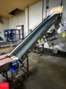 S/S Framed Dual-Lane Inclined Belt Conveyor: 12' x 1' with Drive - Rigging Fee: $500
