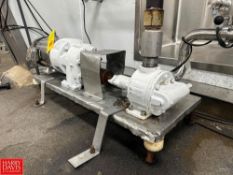 Positive Displacement Pump with S/S Clad Dayton 3 HP 1,765/1,460 RPM Motor: Mounted on Base