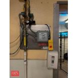 Ecolab Boot Sanitizing Foam Station, Hard Sanitizing Dispenser and Hose Station with Sprayer