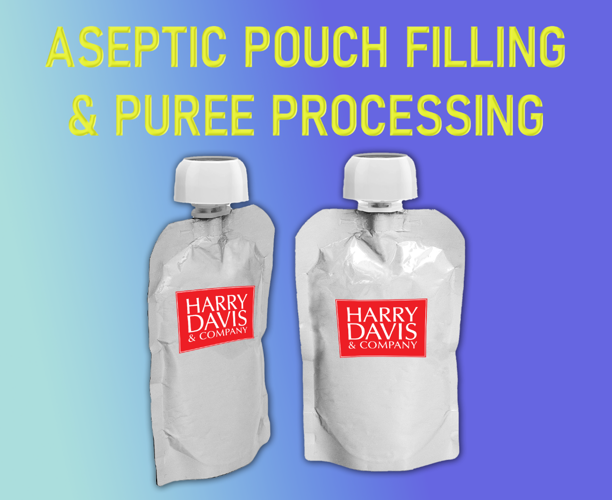 ASEPTIC Purees & Pouch Filling Equipment