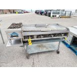 Atlas Refrigerated Ice Cream Table (Location: St. Ignace, MI) - Rigging Fee: $200