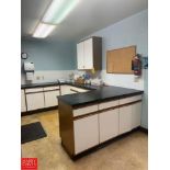 Lab Countertops with Drawers, Cabinets, Wall-Mounted Cabinet and S/S 2-Basin Sink