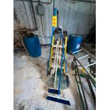 Cleaning Tools and Step Ladder - Rigging Fee: $100
