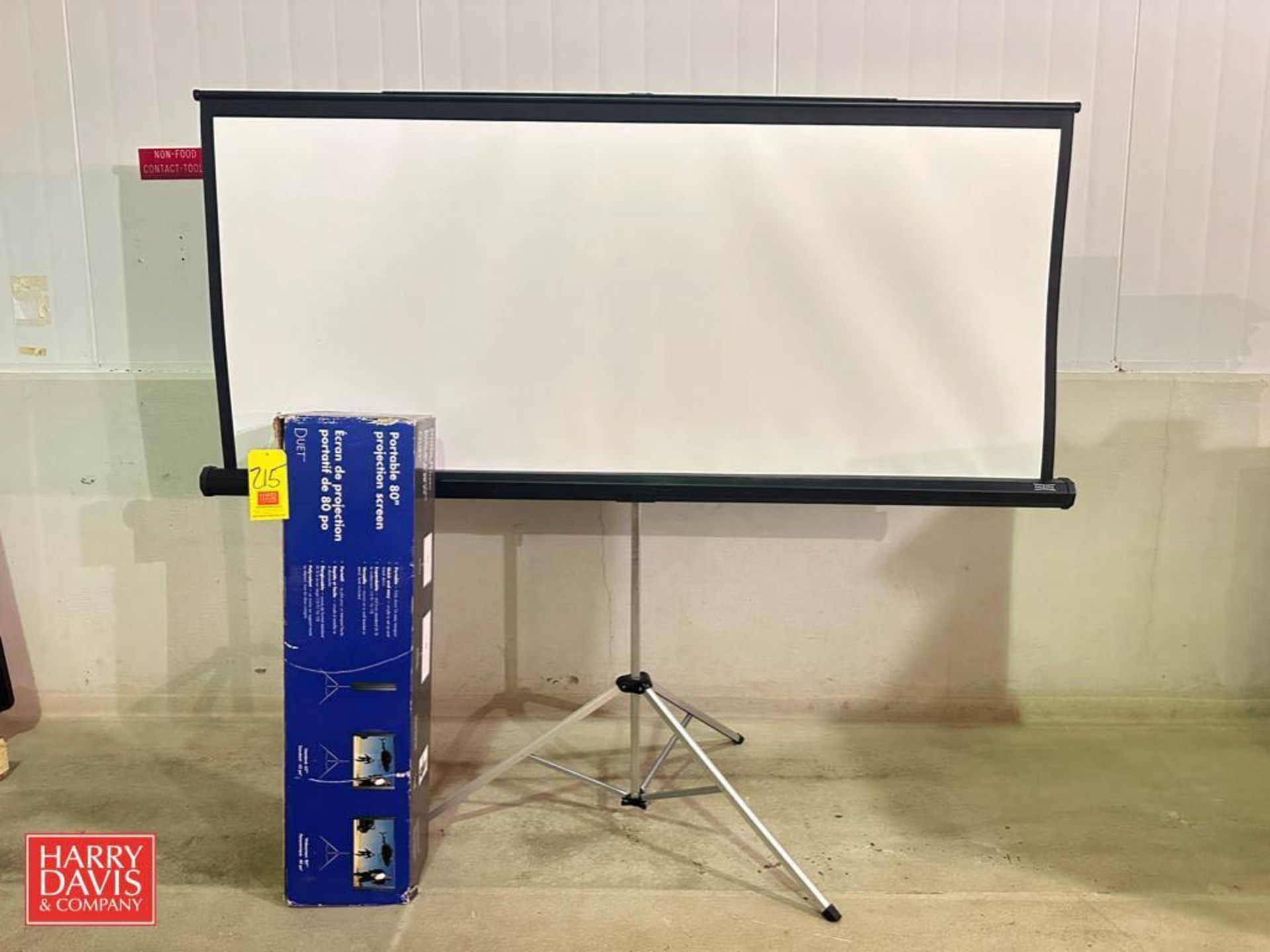 Portable Projection Screens: 80"