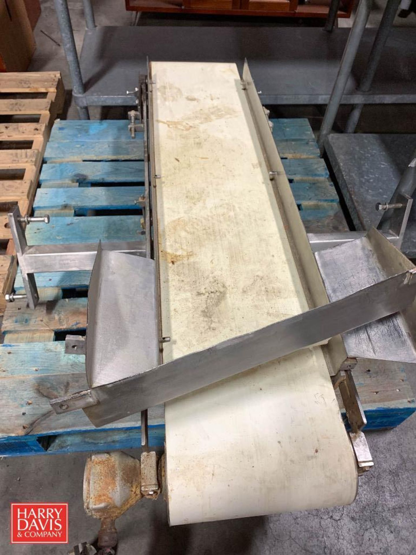 S/S Frame Power Belt Conveyor: 54” Length x 12" Width (Location: Edison, NJ)