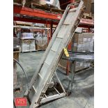 Inclined Belt Conveyor S/S Frame (Location: Edison, NJ)