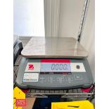 Ohaus Ranger 3000 S/S Table Top Digital Scale: 1’ x 9", Model: R31P15, 30 LB Max Capacity