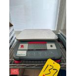 Ohaus Ranger 3000 S/S Table Top Digital Scale: 1’ x 9", Model: R31P15, 30 LB Max Capacity