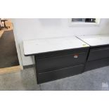 TWO DRAWER LATERAL FILE CABINET WITH COUNTERTOP, 42" X 22" X 28"