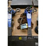 BRAVO 1-1/2 TON LEVER CHAIN HOIST