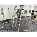 Husky 8' ladder