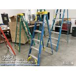 Werner 6' ladder