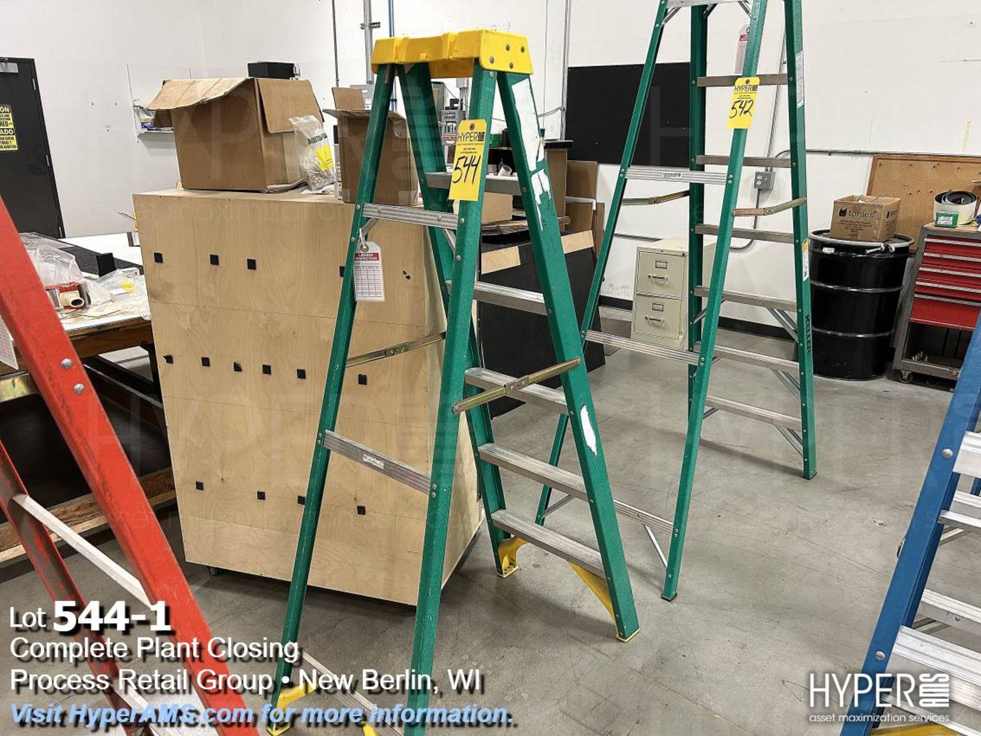 Werner 6' ladder