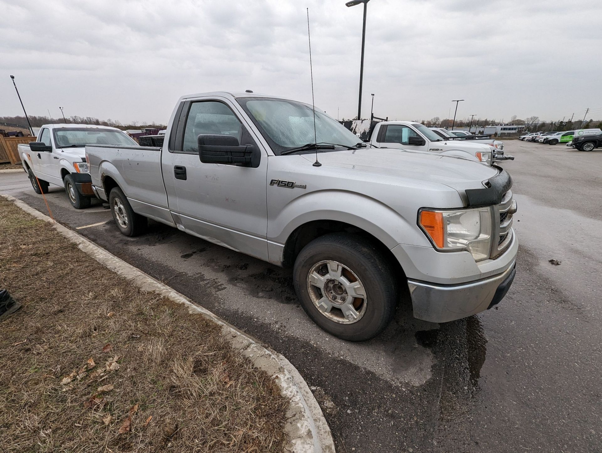 2013 FORD F150 XLT PICKUP TRUCK, VIN# 1FTNF1CF6DKD33131, APPROX. 315,106KMS (NO BLACK TOOL BOXES) - Image 3 of 12