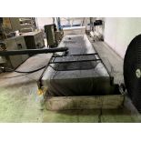 2009 LOSMA DTE-DCO 150/400 GRAVITY BED COOLANT FILTERS, APPROX. 3’ X 14’, INCLUDES PUMP, MOTOR,