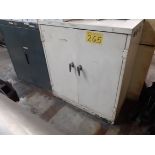 LOT OF (2) 2-DOOR METAL CABINETS