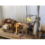 LOT OF (2) PUMPS W/ MOTORS IN SPILL PIT (RIGGING FEE $225 USD)