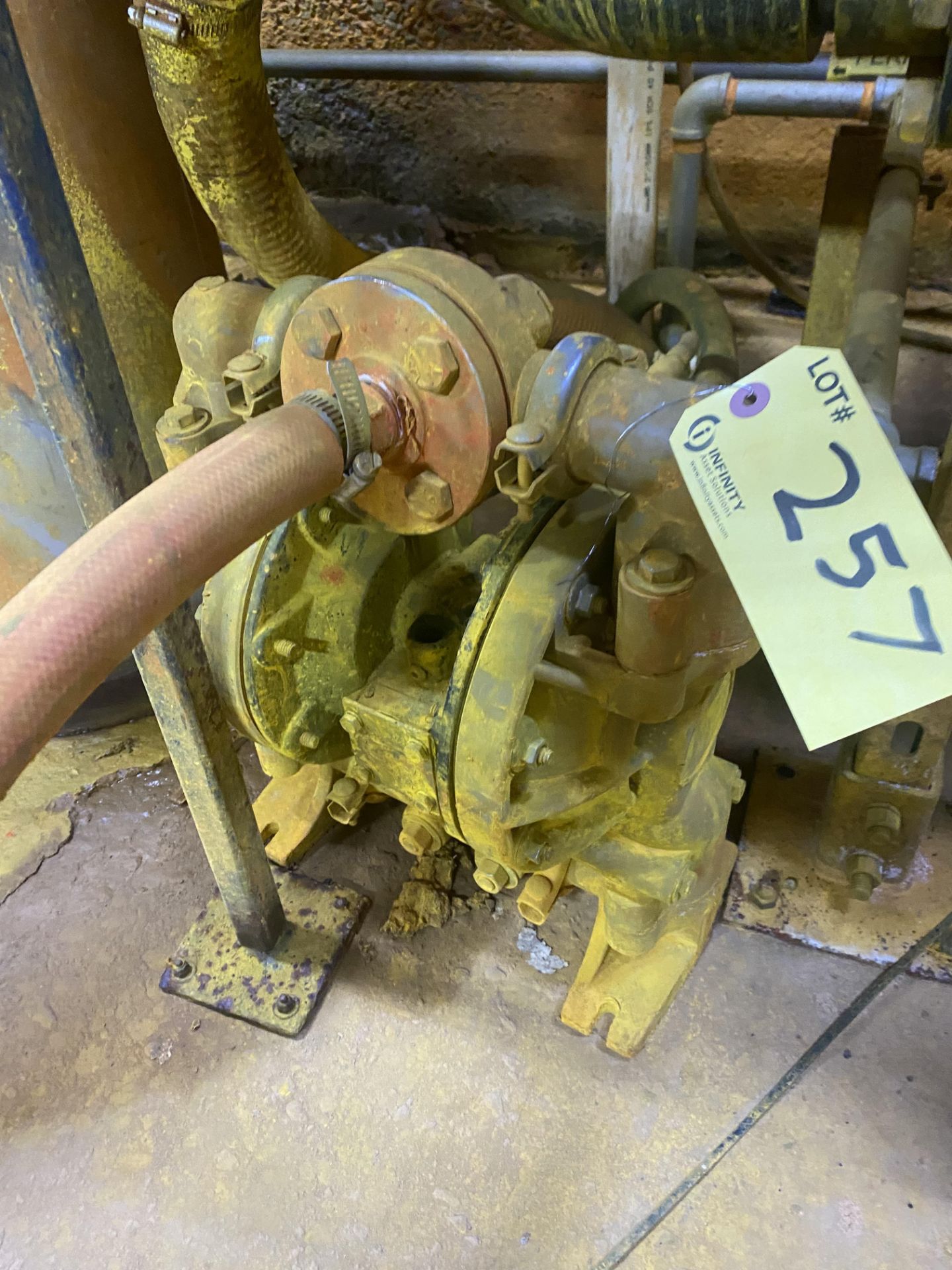 LOT OF (3) DIAPHRAGM PUMPS IN AREA (RIGGING FEE $175 USD) - Image 3 of 4