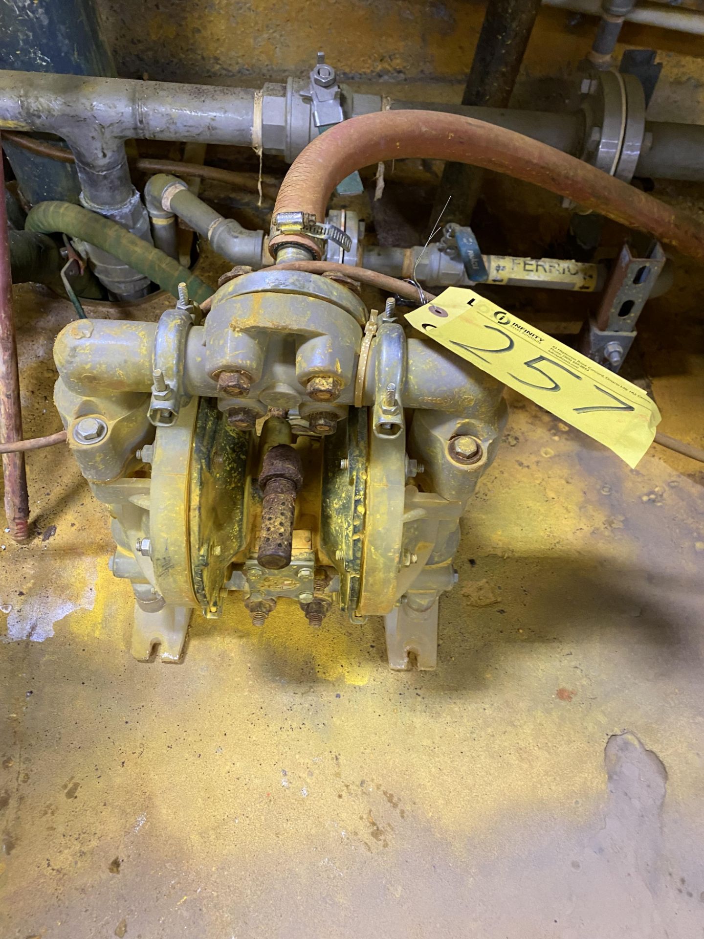 LOT OF (3) DIAPHRAGM PUMPS IN AREA (RIGGING FEE $175 USD)