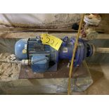 WEG 3HP MOTOR, 575V, 3,515 RPM, 182/4TC FRAME AND IWAKI MEG DRIVE PUMP MDM1516ECF03