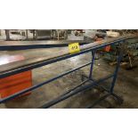 LOT (2) V SHAPED INCLINE ROLL CONVEYOR ON CASTORS