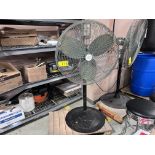 CANARM INDUSTRIAL PEDESTAL FAN