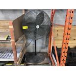 CANARM LFI INDUSTRIAL PEDESTAL FAN