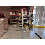 6-STEP ALUMINUM LADDER