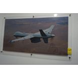 Plexiglass Framed Military Picture