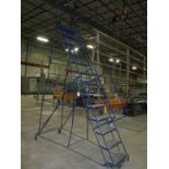 PORTABLE WAREHOUSE LADDER, 10 STEP