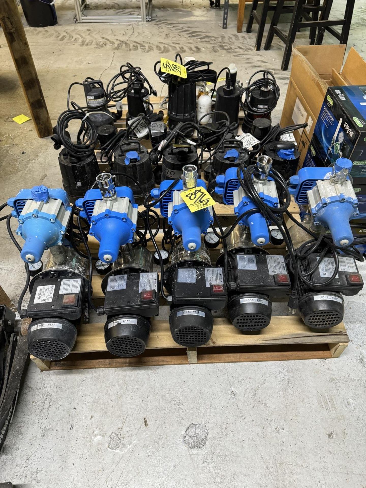 Lot (5) Burcam Model 506532SS Pumps, 115V, 3/4 HP, Single Phase