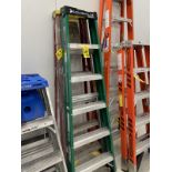 Lot (2) Fiberglass 6' Folding Ladders