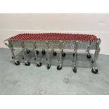 Nestaflex 226 Collapsible Skate Conveyor